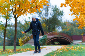 Wall Mural - a girl walks along the path and enjoys autumn, maples with yellow leaves and a bridge over the river