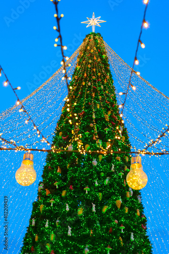 Christmas New Year tree Kyiv