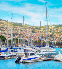 Canvas Print - Marina yachts motorboats Madeira Portugal