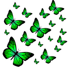 Set Of Green Butterflies