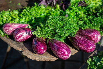 Wall Mural - aubergines violettes et persil