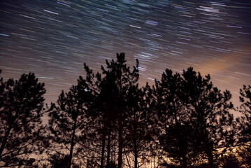 Wall Mural - Starry night star trail over a forest in Ontario