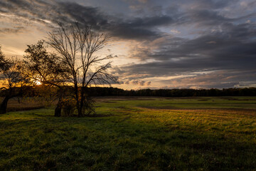 autumn sunset in the park

