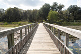 Fototapeta Tulipany - Bridge wood lake swamp nature