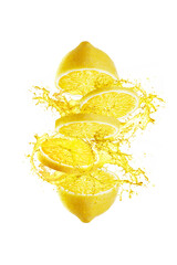 Wall Mural - splash of lemon slice