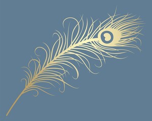 Wall Mural - peacock feather, wedding card design, royal India	