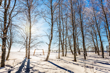 Canvas Print -  The cold northern sun