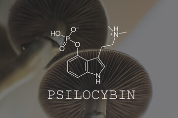 psilocybin psychedelic formula. Psychoactive natural drug. Legalization Medical .