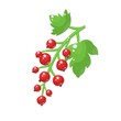Cartoon redcurrant isolated on white background. Vector illustration