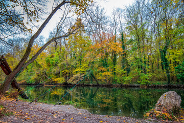  Recreation with fishing at a river in the forest of autumn colors