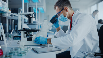 Wall Mural - medical development laboratory: scientist wearing face mask looking under microscope and using digit