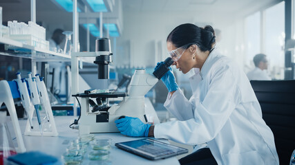 Wall Mural - Medical Development Laboratory: Caucasian Female Scientist Looking Under Microscope, Analyzes Petri Dish Sample. Specialists Working on Medicine, Biotechnology Research in Advanced Pharma Lab