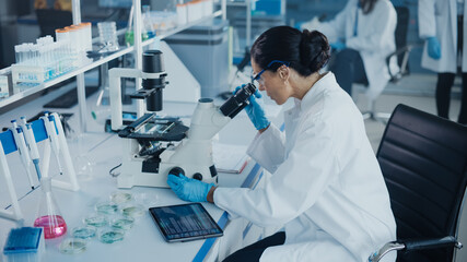 Wall Mural - medical development laboratory: caucasian female scientist looking under microscope, analyzing petri