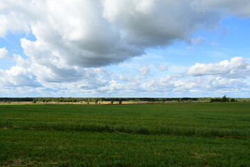 field and blue sky