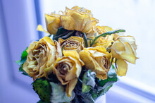 A Bunch Of Yellow Roses Which Have Aged, Dried Up And Withered From Their Former Glory.