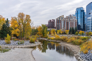 Wall Mural - Prince's Island Park autumn foliage scenery. Bow river bank, downtown Calgary, Alberta, Canada.