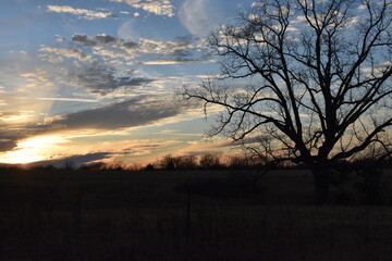 Wall Mural - Sunset