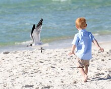 A Little Red-Haired Boy Chasing Seagulls On Laguna Beach In Panama City Beach, Florida