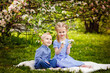 © Elena  - Cute kids girl and boy sitting on grass under apple tree in spring blooming garden. Brother and sister on a picnic.
