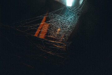 spider web in dark contrast. with low light.