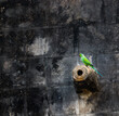 © pratik - a parrot at a fort