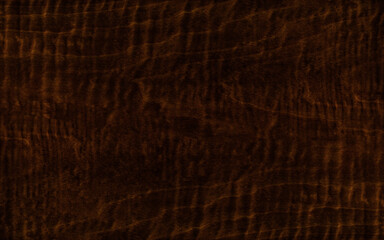 Wall Mural - Beautiful crown cut dark brown wood veneer with an abstract grain