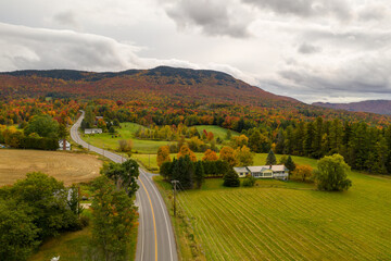 Sticker - Peak Foliage - Vermont