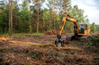 © MaxSafaniuk - Excavator Grapple during clearing forest for new development. Tracked Backhoe with forest clamp for forestry work. Tracked timber Crane and Hydraulic Grab log Loader.