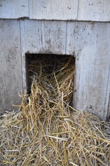 Poster - Straw Insulation in a Doghouse