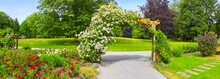 Beautiful Park With Flower Beds And Roses In A Panoramic Format.