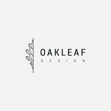 Oak Leaf Logo Design Illustration Vector Template