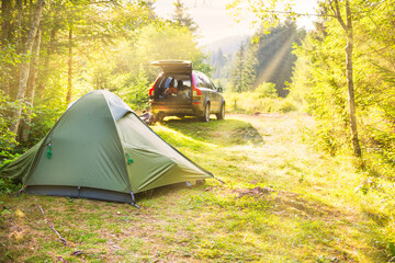 cozy camping on green sunny lawn with tent and a car