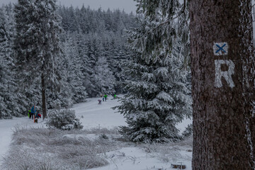 Winter Hiking in different places through the Thuringian Forest - Germany