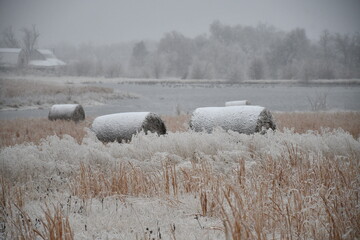 Canvas Print - Snow Covered Field