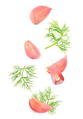 Poster - Garlic cloves and dill isolated in the air on white background