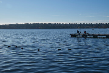 Wall Mural - Green Lake in Seattle 
Lake View  
Nice Fall Scene