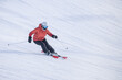 © Yan - People are having fun in downhill skiing and snowboarding