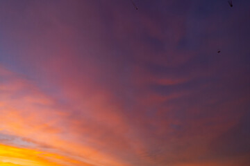 sky sunset violet color orange and color background