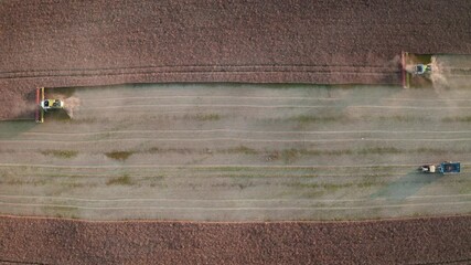 Wall Mural - Aerial video flying over harvesting oilseed rape in autumn field. Harvester combine in a cloud of dust glowing from the setting sun. Aerial top view