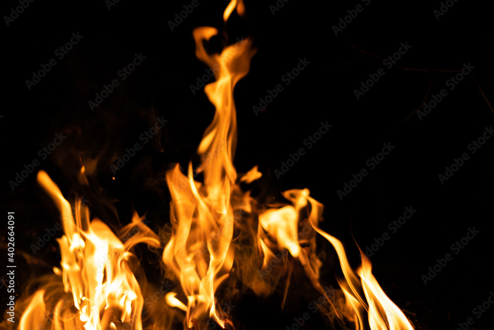 Fire flames on a black background. Abstract fiery texture. Realistic fire flames burn movement frame. Texture for Design. The texture of fire. Fire flames background. Blazing campfire. Sensitive focus