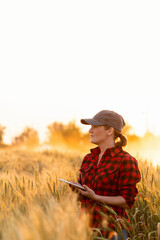 Wall Mural - A woman farmer examines the field of cereals and sends data to the cloud from the tablet. Smart farming and digital agriculture.	