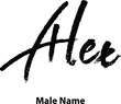 Alex-Male Name Handwritten Brush Typography Text