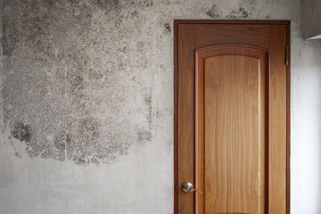 The white wall with the door is covered with black mold