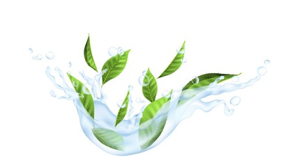 Wall Mural - Tea leaves in water. Realistic green plant in transparent splash of falling liquid. Isolated cold beverage mockup for drink advertising. Aqua flow and drops with floral elements, vector illustration