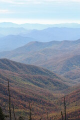 Canvas Print - Smoky mountains