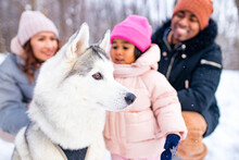 Mixed Race Family In Threesome Spending New Year Holidays In Park With Their Husky Dog