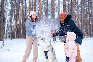 Wall Mural - mixed race family in threesome spending new year holidays in park with their husky dog