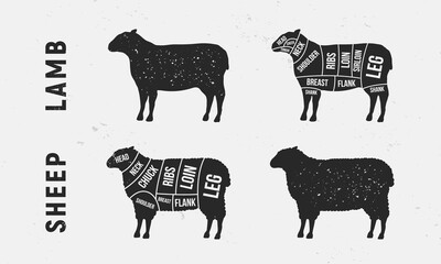 Wall Mural - Diagrams of Meat cuts. Mutton, Sheep, Lamb cuts of meat. Silhouette of Sheep and Lamb. Vintage poster for groceries, butcher shop and meat store. Vector illustration