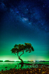 Wall Mural - landscape with milky way galaxy. night sky with stars and silhouette mangrove tree in sea. long expo