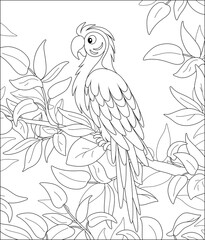 Wall Mural - Amusing long-tailed parrot macaw with a striped plumage, perched among leaves on a tree branch in a tropical jungle, wild scenery, black and white vector cartoon illustration